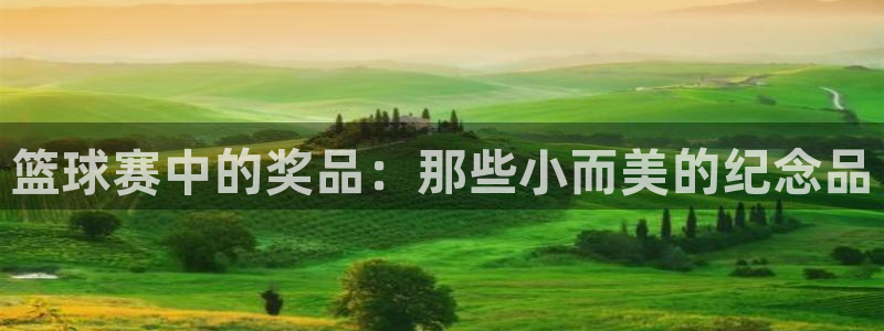  篮球赛中的奖品：那些小而美的纪念品