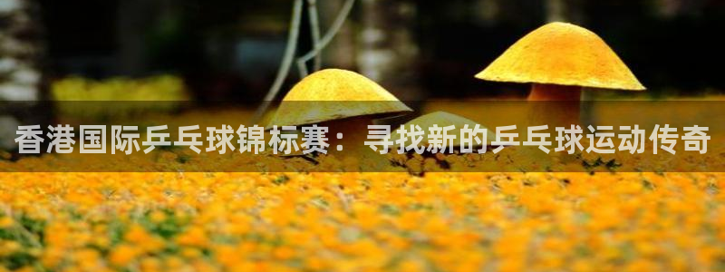 jn江南·体育登录入口：香港国际乒乓球锦标赛：寻找新的乒乓球