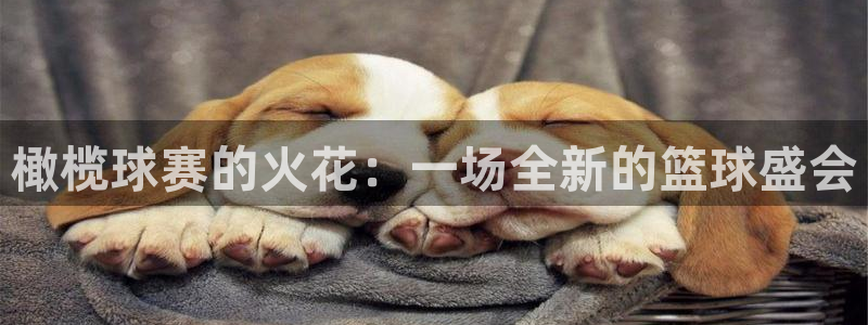  jn江南·体育最新官网入口：橄榄球赛的火花：一场全新的篮球盛