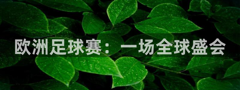  jn江南·体育网页版：欧洲足球赛：一场全球盛会
