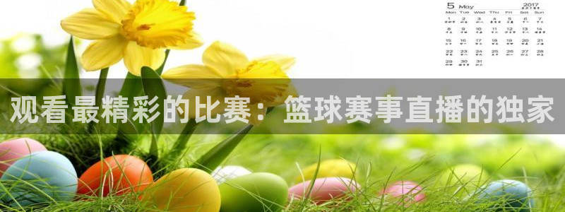 江南jnsport体育：观看最精彩的比赛：篮球赛事直播的独家