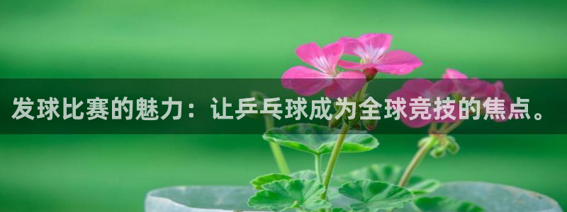 jn江南·体育网页版：发球比赛的魅力：让乒乓球成为全球竞技的