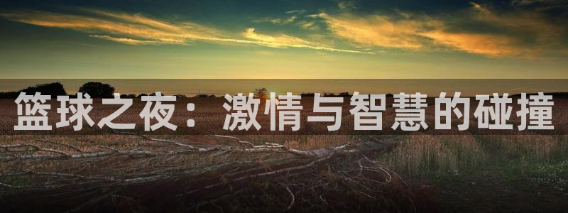  jn江南体育登录入口：篮球之夜：激情与智慧的碰撞