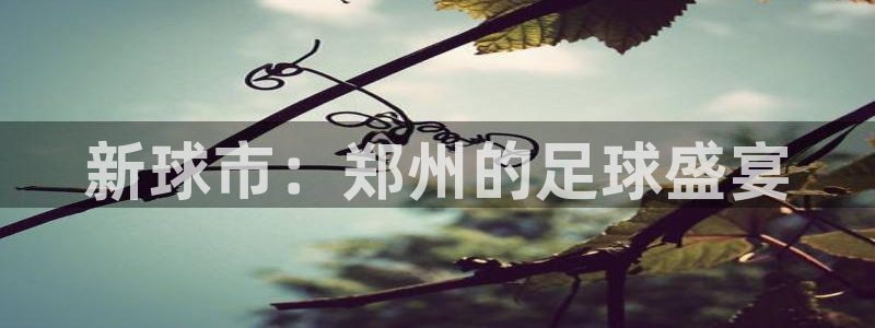 jn江南·体育登录入口：新球市：郑州的足球盛宴