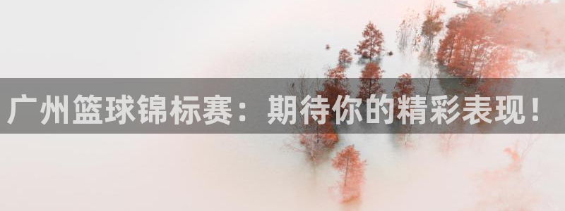  jn江南·体育网页版：广州篮球锦标赛：期待你的精彩表现！
