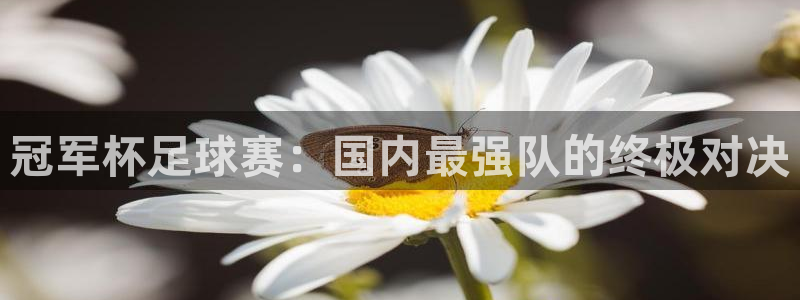 jn江南体育登录入口：冠军杯足球赛：国内最强队的终极对决