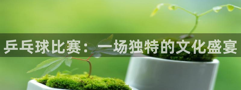 jn江南·体育官网：乒乓球比赛：一场独特的文化盛宴